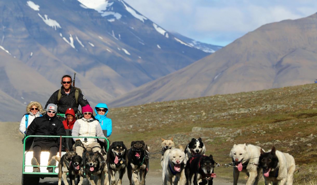 Dogsledding on Wheels-Svalbard