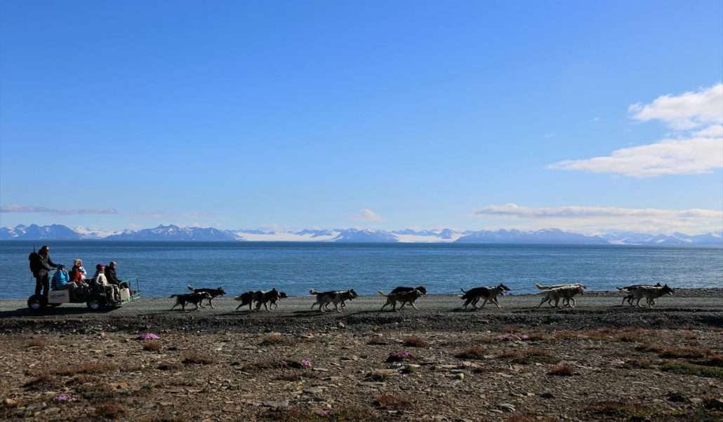 Dogs the Ocean Along the Arctic coast by dog wagon 1