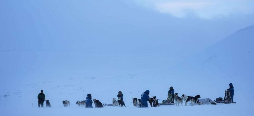 Dogsledding to ice cave5