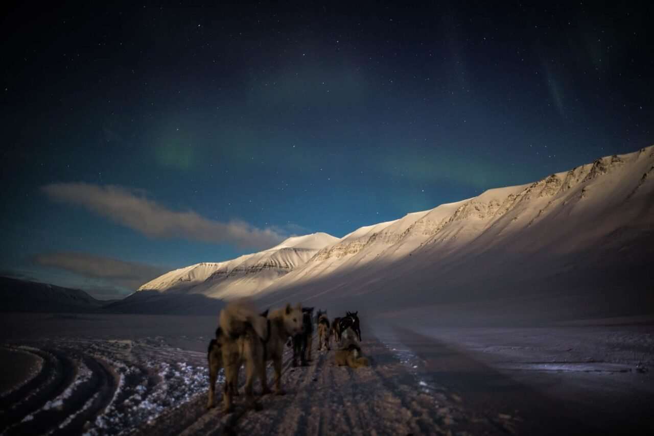 dogsledding polar night 3