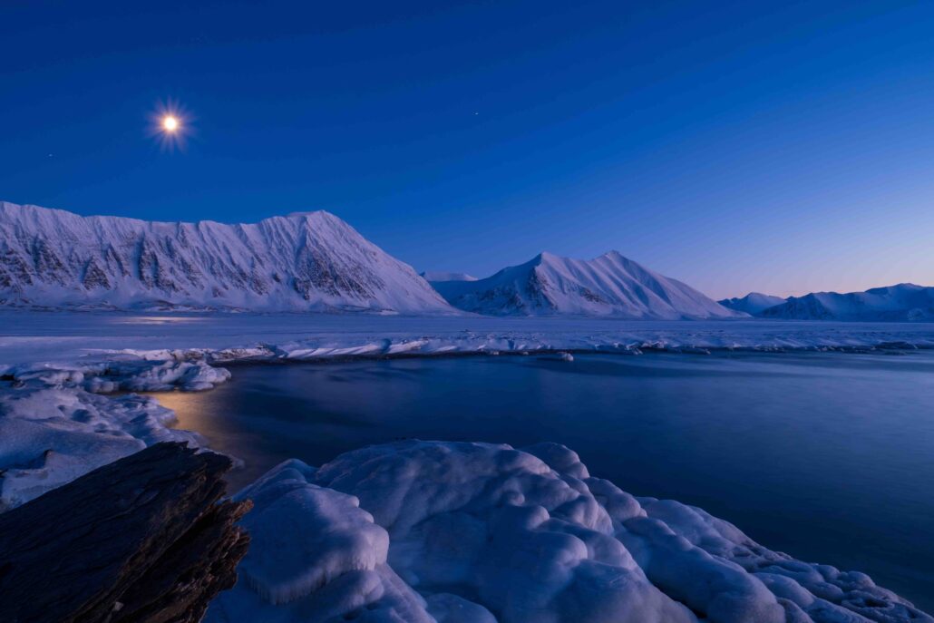 Catching the Light – Blue Light with Dinner