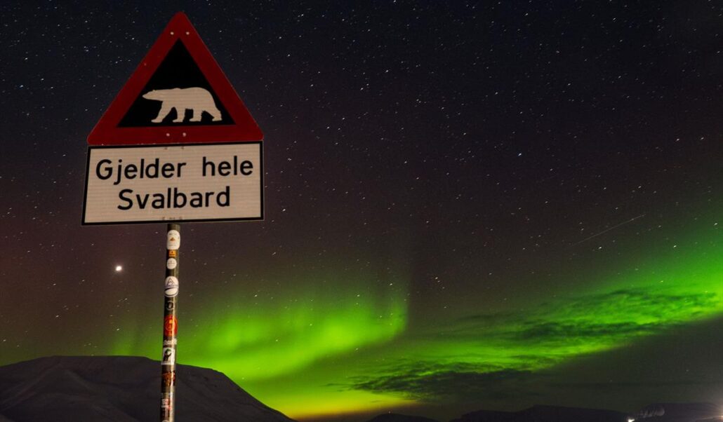 Northern Lights Hunt by Car